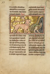 Ein Löwe und ein geflügelter Drache